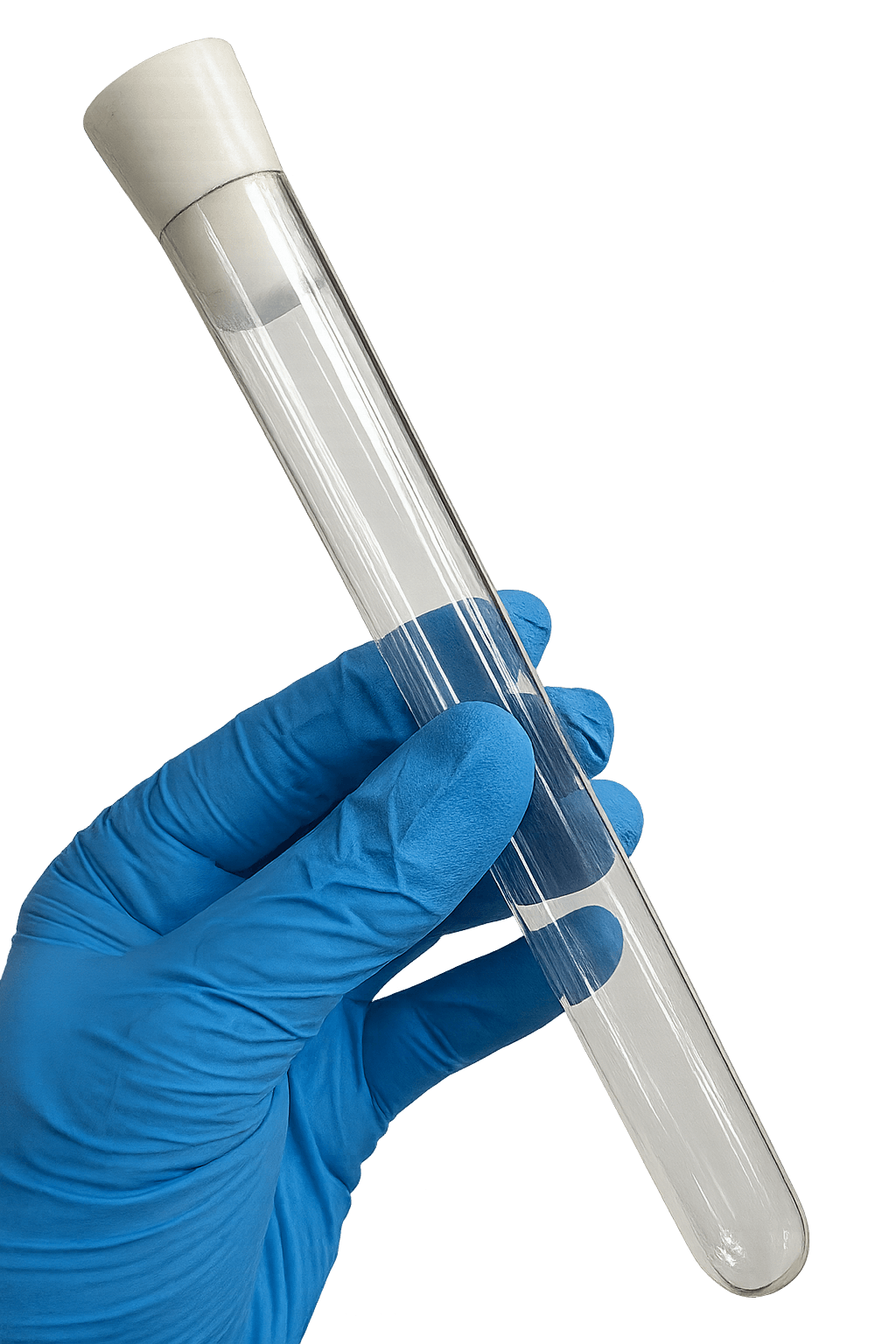 Glass Test Tubes - Set of 12